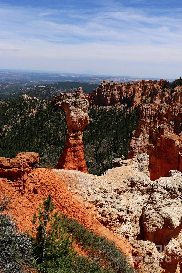 Hoodoos Of The Bryce Canyon Photograph by Christiane Schulze Art And Photography