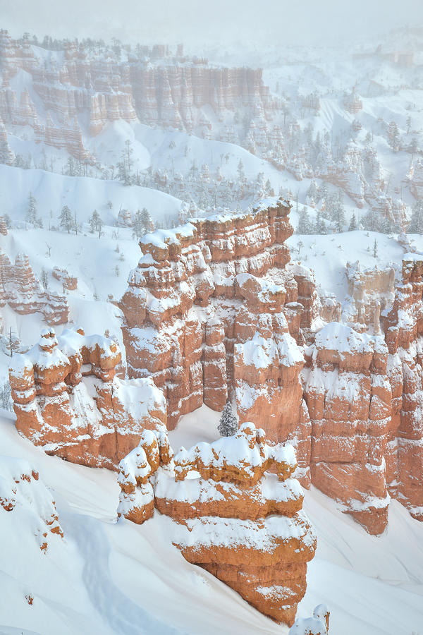 Hoodoos Photograph by Ray Mathis