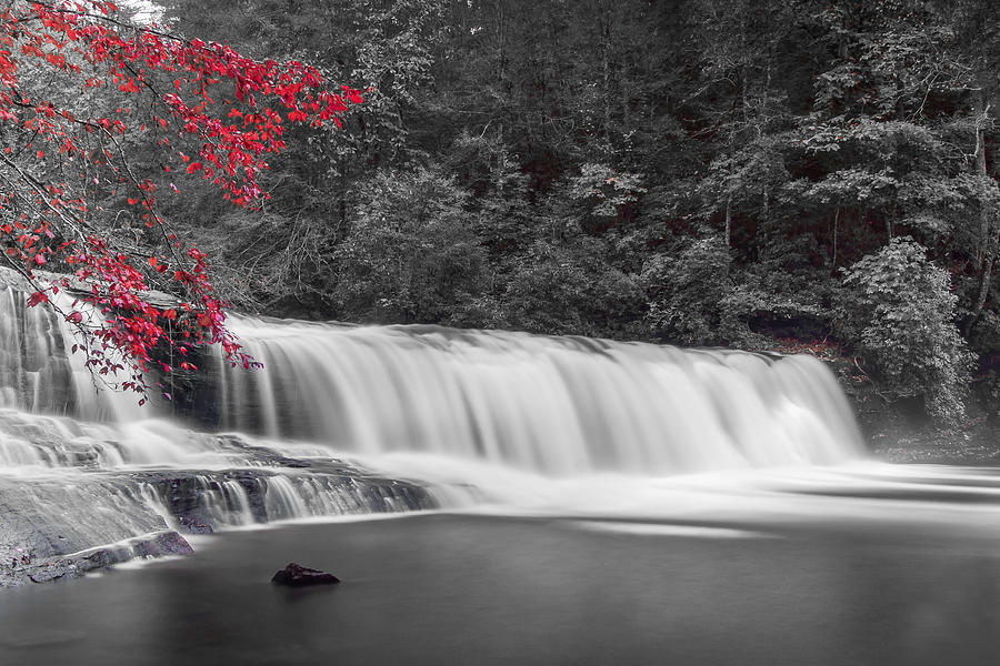 Hooker Falls-red Photograph by Joye Ardyn Durham