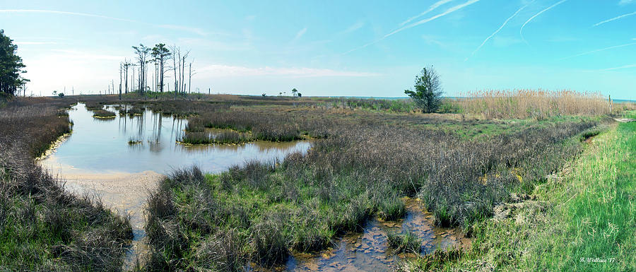 Hoopers Island Wetlands Photograph by Brian Wallace