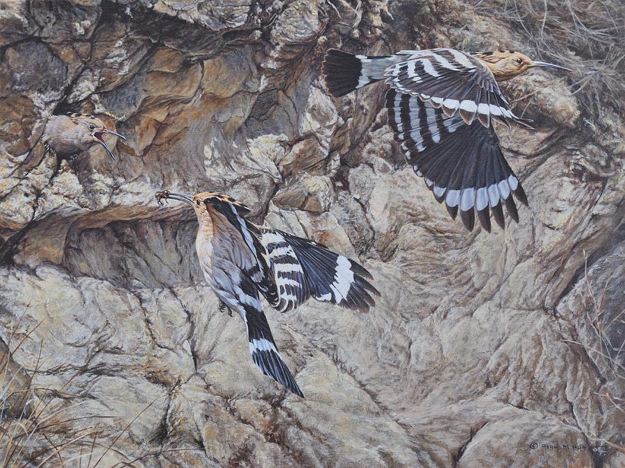 Wildlife Painting - Hoopoes Feeding by Alan M Hunt