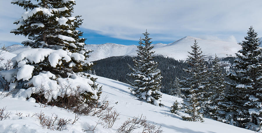 Hoosier Pass Winter Panorama Photograph by Cascade Colors