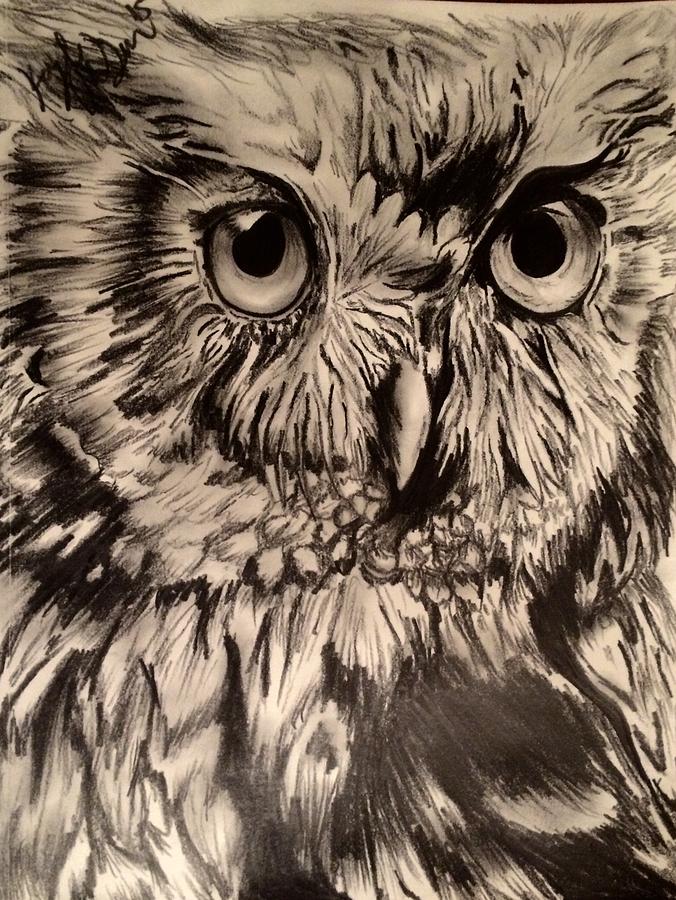 Hoot Drawing by Kayla McSwain - Fine Art America