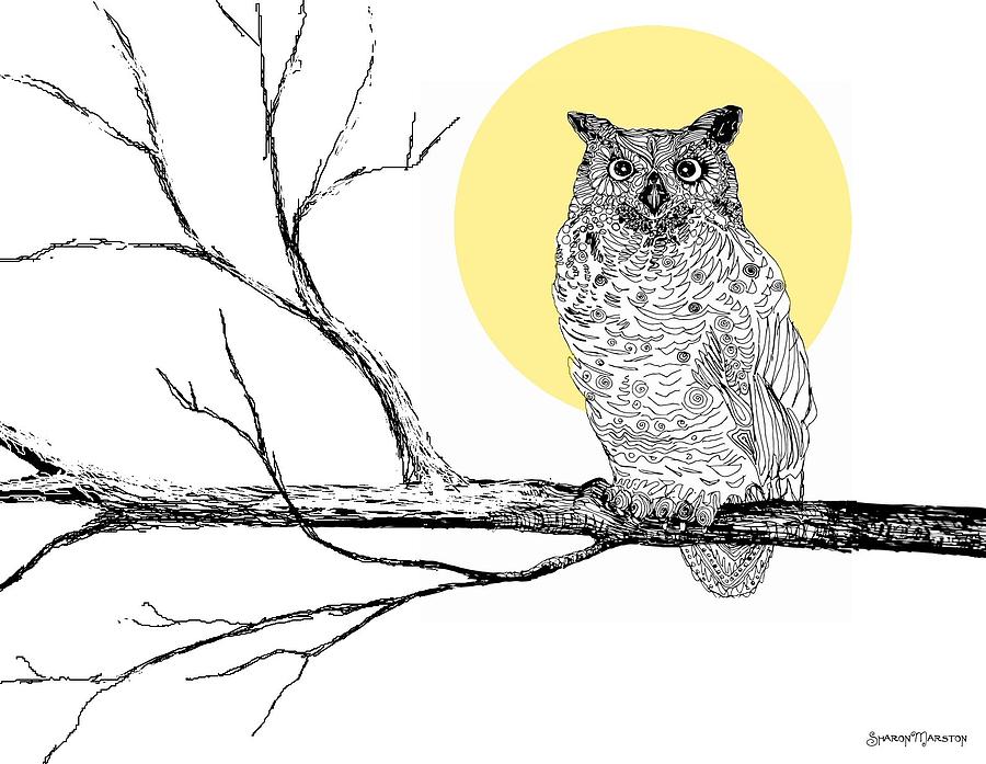 Owl Digital Art - Hoot by Sharon Marcella Marston