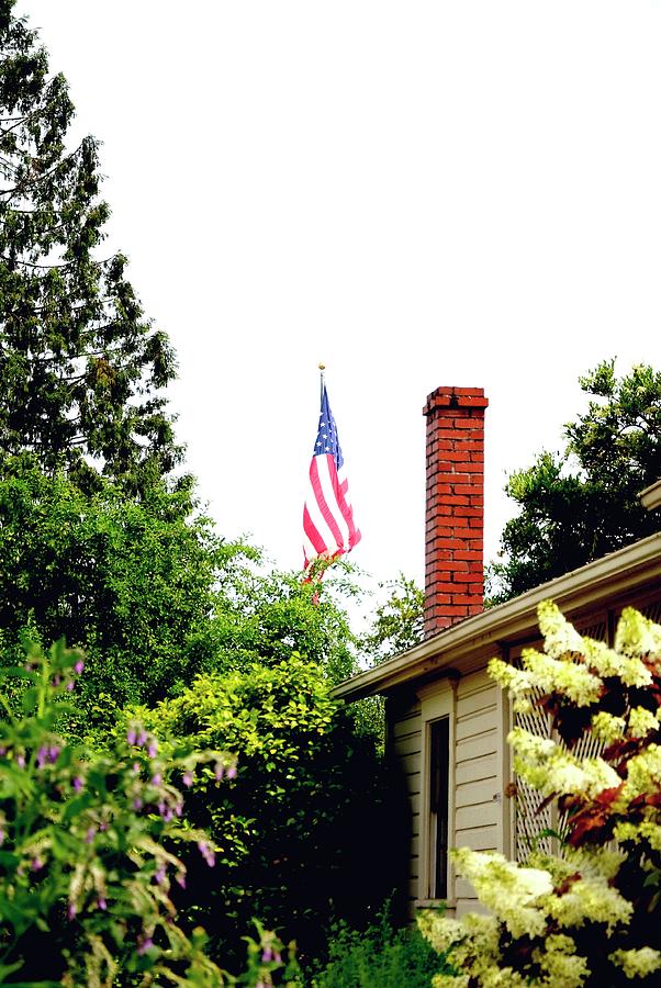 Hoover House Flag Chimney Photograph by Jerry Sodorff