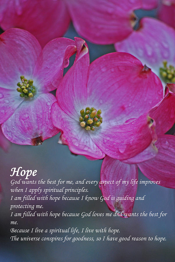 Flowers Still Life Photograph - Hope - The Affirmation Series  by Michelle  BarlondSmith