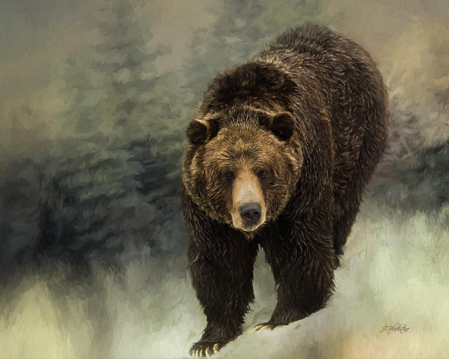 Hope And Strength - Grizzly Bear Art Photograph by Jordan Blackstone
