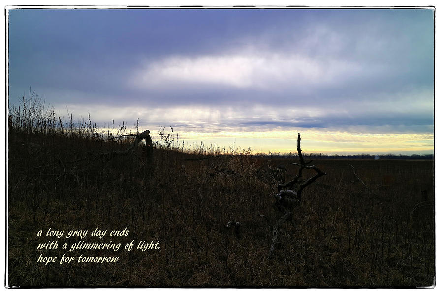 Hope for Tomorrow Photograph by Scott Kingery