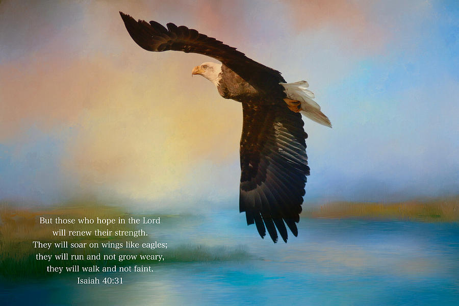 Eagle Photograph - Hope in the Lord by Lynn Hopwood