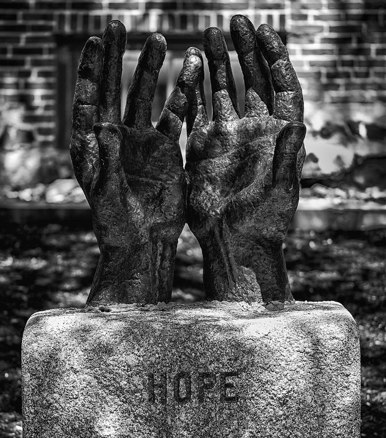 Hope Photograph by John Hoey