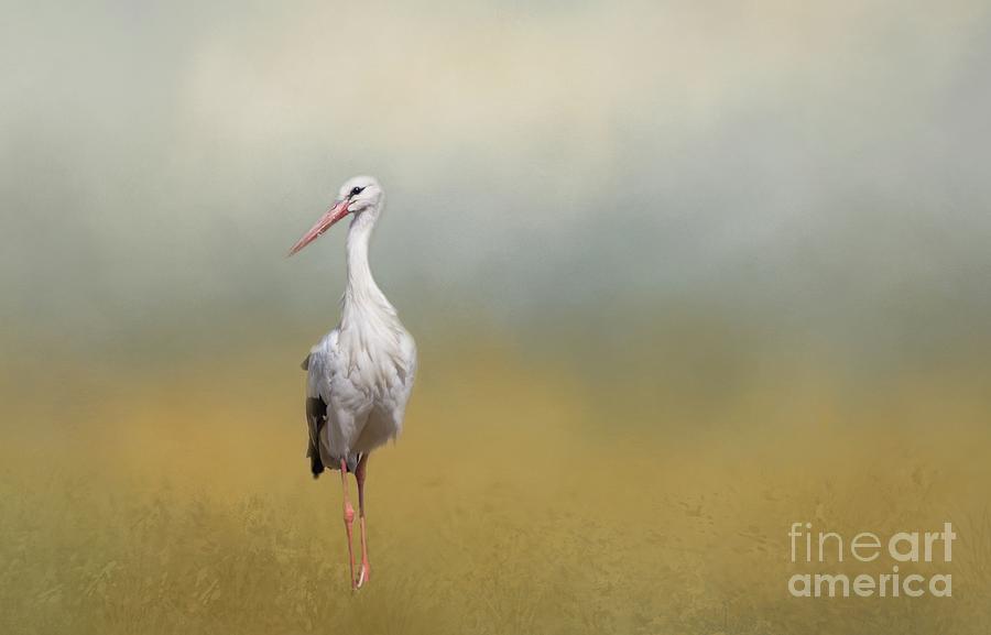 Stork Photograph - Hope of Spring by Eva Lechner