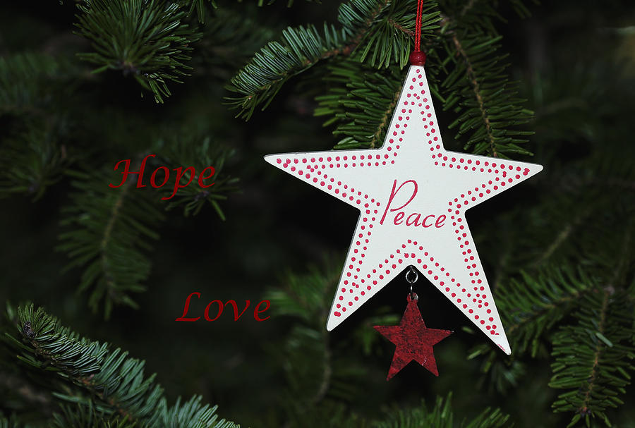Hope Peace Love - Christmas Card Photograph by Debbie Oppermann