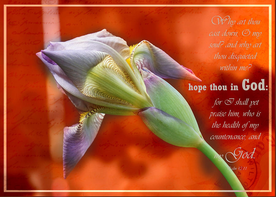 Hope Thou in God Photograph by Karen Beasley | Fine Art America