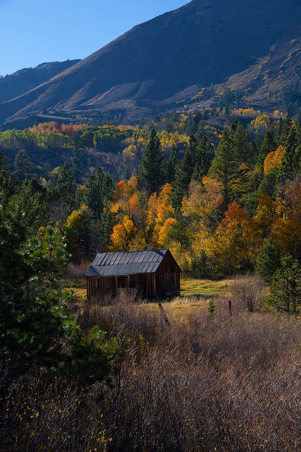 Hope Valley California Fall Color Photograph by John and Nicolle Hearne