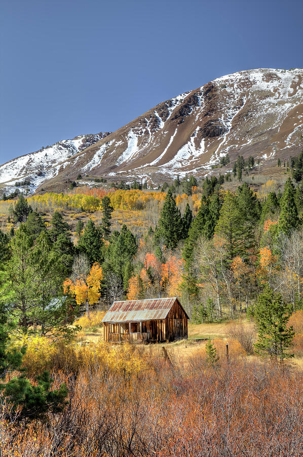 hope-valley-california-fall-colors-photograph-by-soroush-mostafanejad