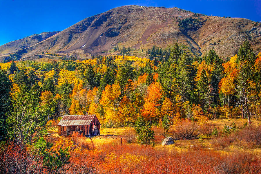 Hope Valley California Fall Colors Photograph - Hope Valley California Rustic Barn by Scott McGuire