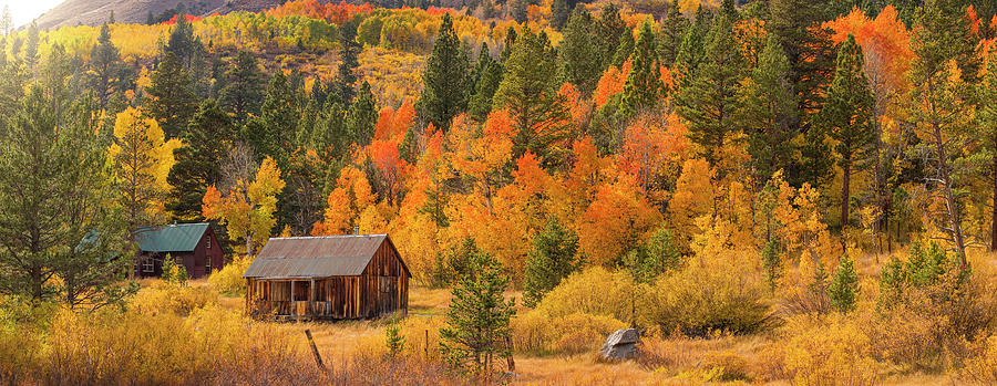 Hope Valley Fall Cabin by Brad Scott Photograph by Brad Scott
