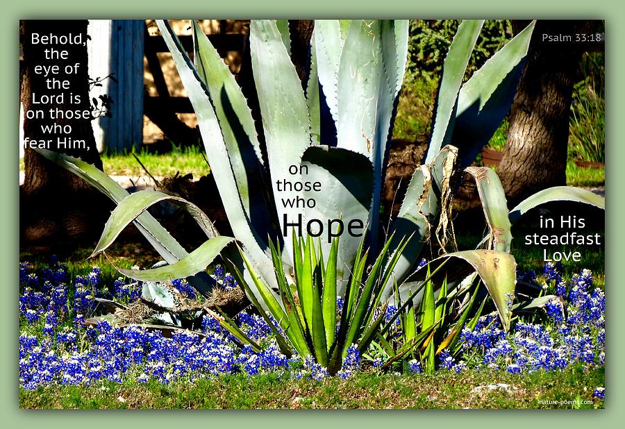Hope9 Photograph by David Norman