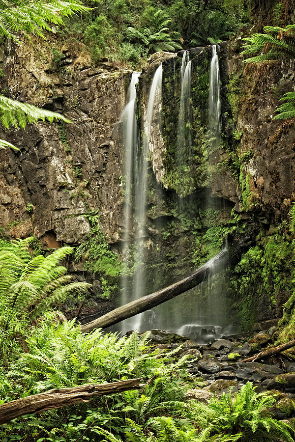 Hopetoun Falls Photograph by Catherine Reading