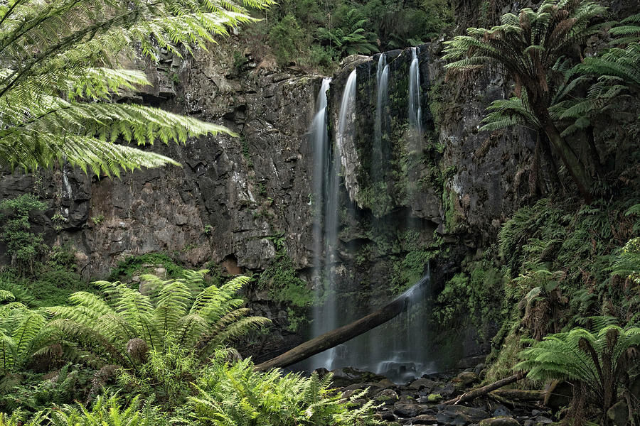 Hopetoun Falls in Victoria Photograph by Catherine Reading