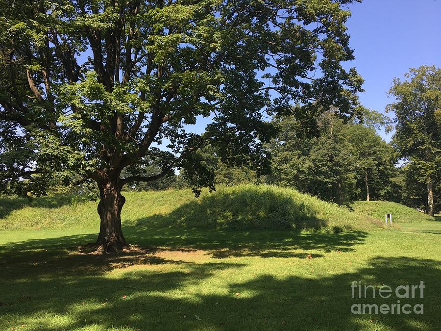Hopewell Indian Burial Mound Photograph by Alice Terrill