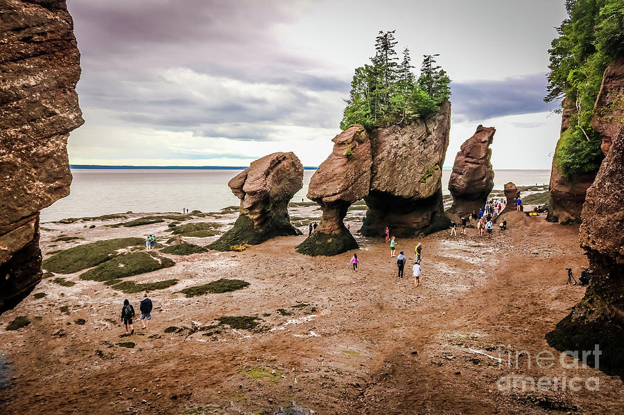 Hopewell Rocks at low tide Photograph by Claudia M Photography