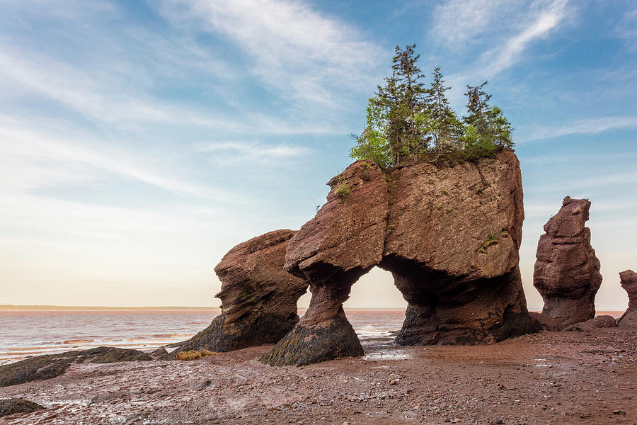 Hopewell Rocks Photograph by Darlene Munro