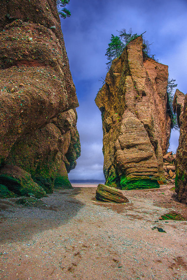Hopewell Rocks III Photograph by Patrick Boening