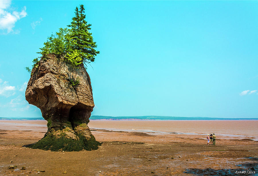 Summer Digital Art - Hopewell Rocks in New Brunswick -  Canada by Ken Morris