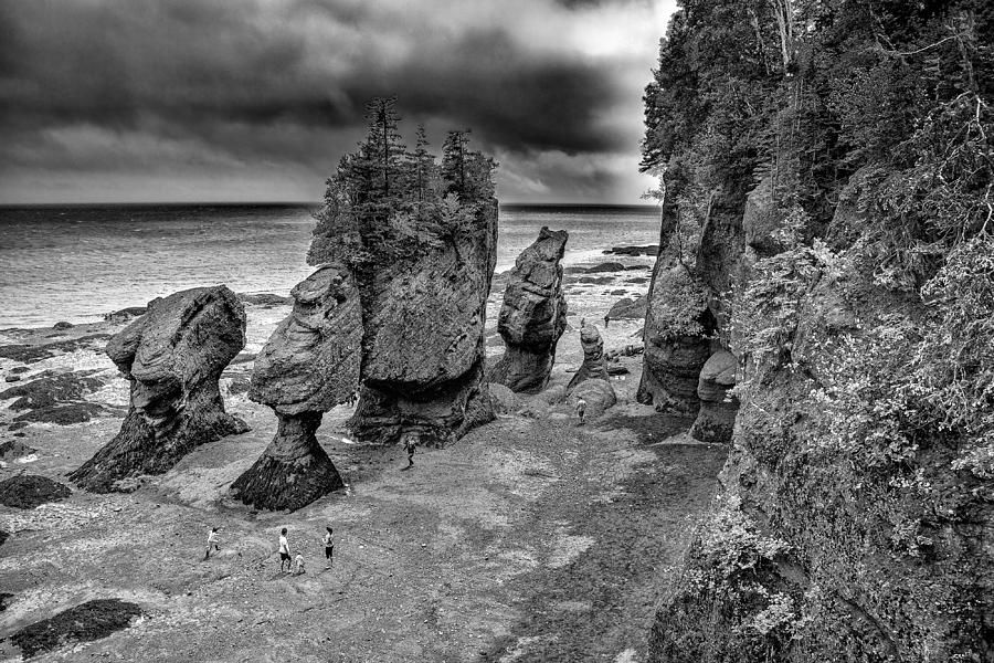 Hopewell Rocks monochrome Photograph by Patrick Boening