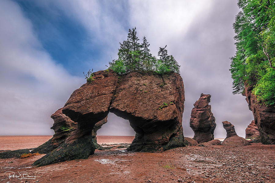 Hopewell Rocks Photograph by Patrick Boening