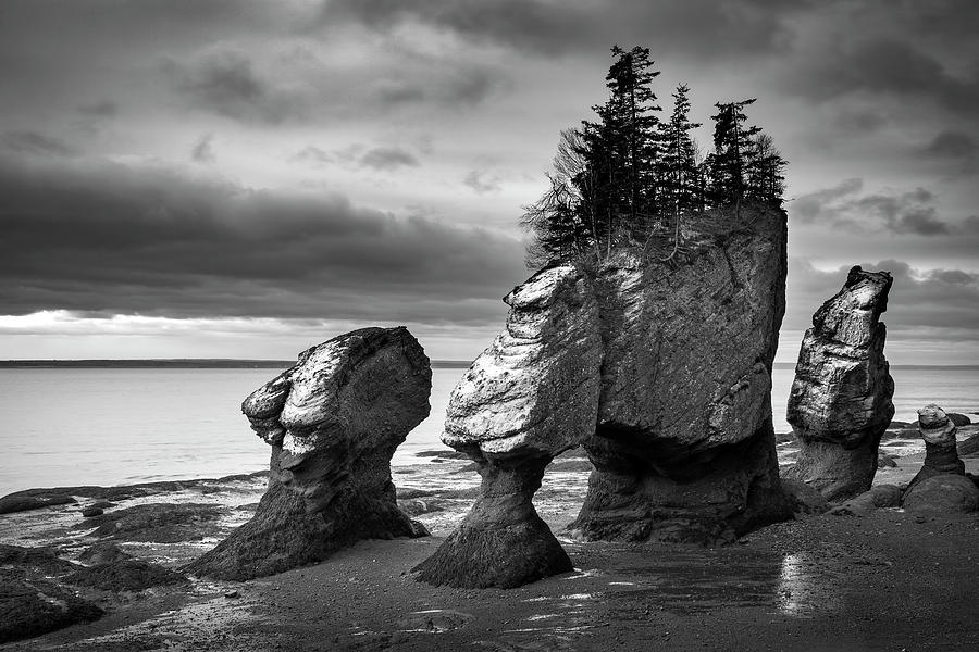 Hopewell Rocks Photograph by Patrick Downey