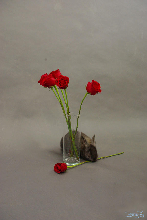 Rose Photograph - Hoppy Valentines Day 1 by Alana  Schmitt