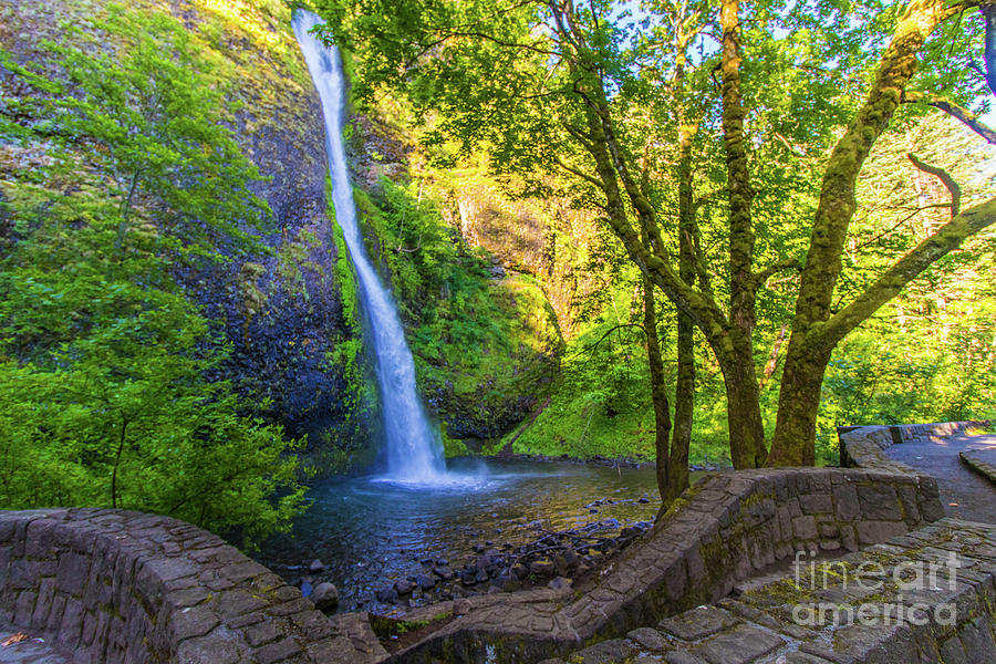Horesetail Falls Photograph by Jonny D