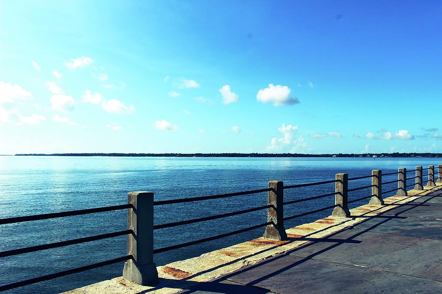 Horizons by WhiteoakorganicsLLC Gallery Horizons by WhiteoakorganicsLLC Gallery