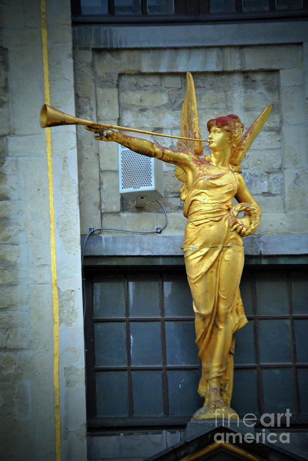 Horn Photograph - Horn Of The Golden Angel by Jost Houk Horn Photograph - Horn Of The Golden Angel by Jost Houk