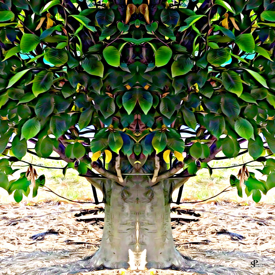 Tree Digital Art - Hornbeam Tree Essence by Pamela Storch