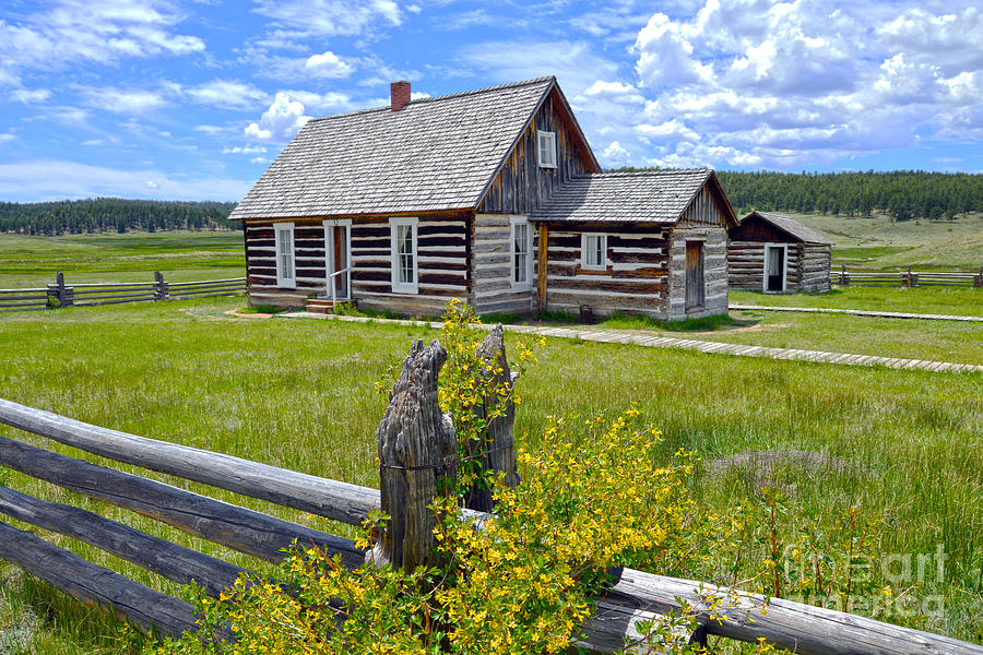 Cabin Photograph - Hornbek Homestead in Colorado by Catherine Sherman