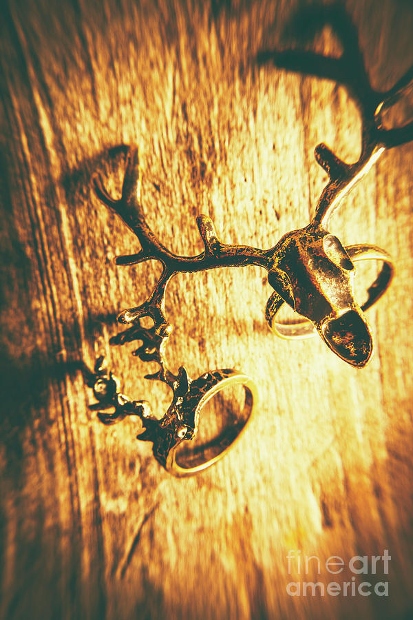 Horned animal rings Photograph by Jorgo Photography