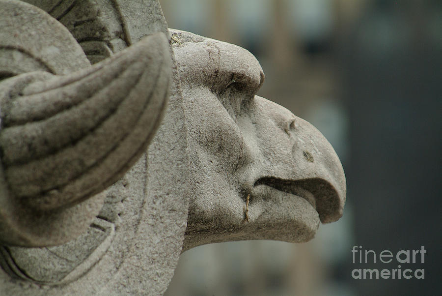 Horned Eagle by J Bloomrosen Horned Eagle by J Bloomrosen