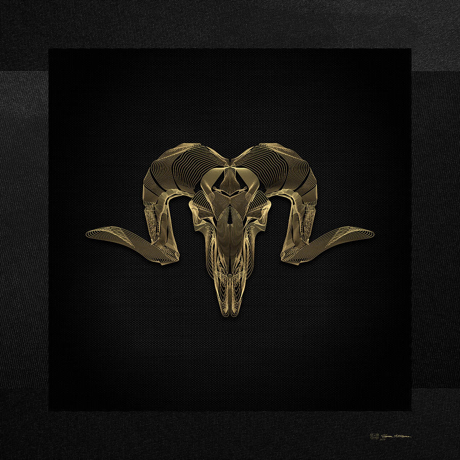 Horned Skulls - Gold Ram Skull X-Ray over Black Canvas No.1 Digital Art by Serge Averbukh