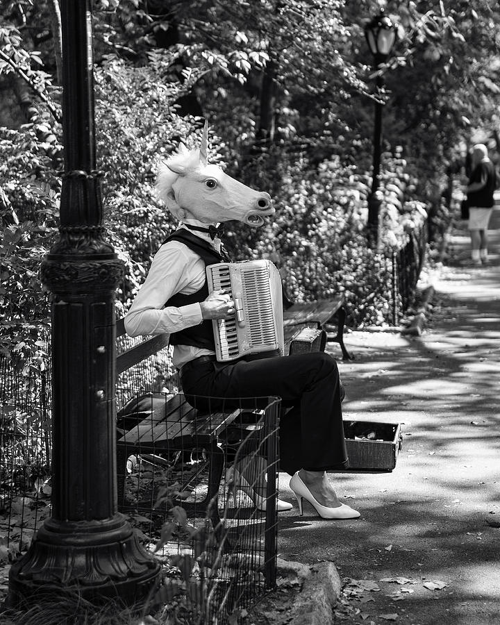 Nyc Photograph - Horned tune by Rob Dietrich Nyc Photograph - Horned tune by Rob Dietrich