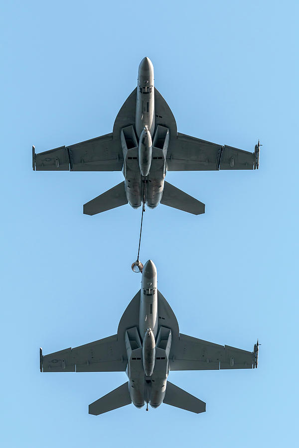Hornets Refueling by Liza Eckardt Hornets Refueling by Liza Eckardt