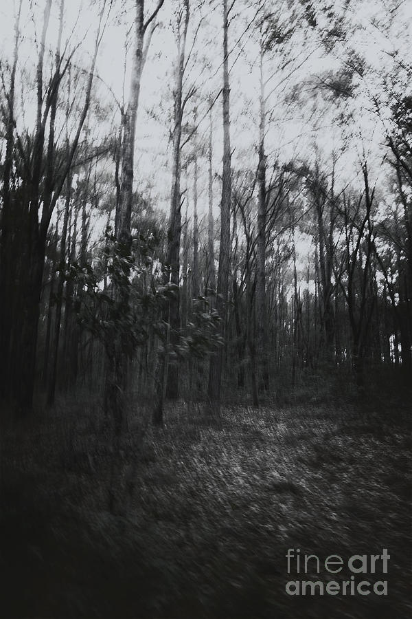 Horror in the Woods Photograph by Margie Hurwich