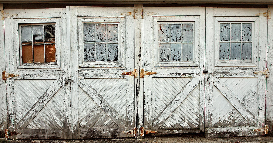Hors Doors Photograph by Terry Doyle