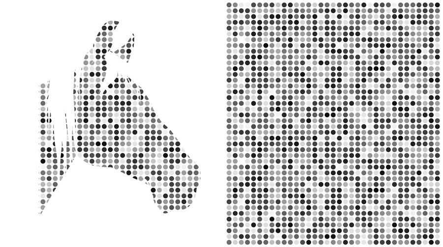 Horse 1 Black and White Digital Art by Brian Kirchner