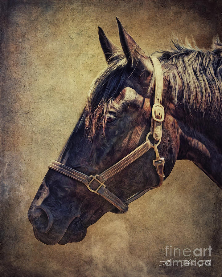 Horse 1 Digital Art by Tim Wemple