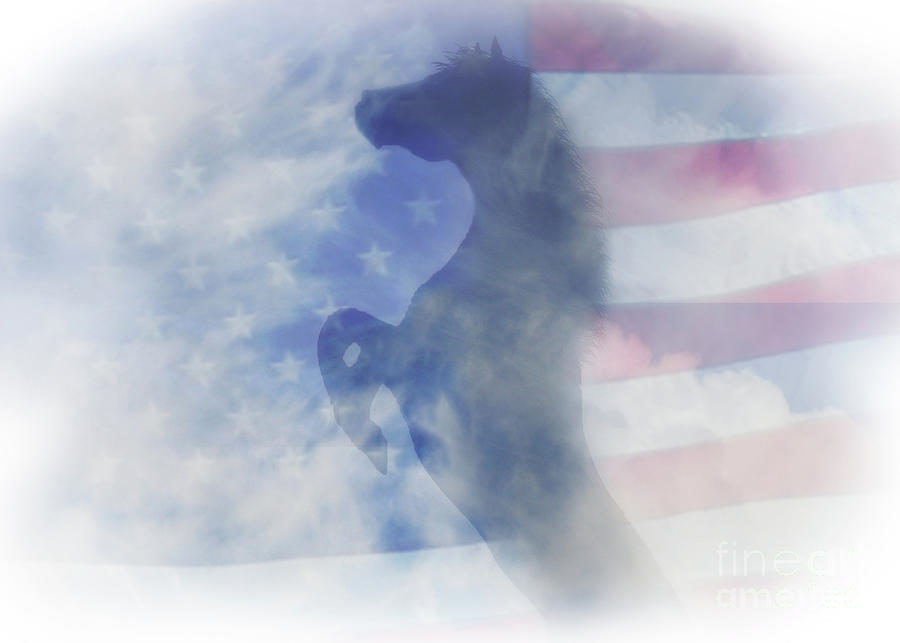 Horse Photograph - Horse and American Flag by Stephanie Laird