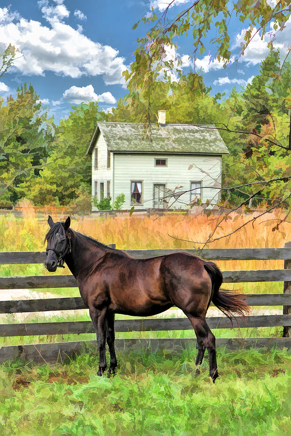 Horse and Barn at Old World Wisconsin Painting by Christopher Arndt