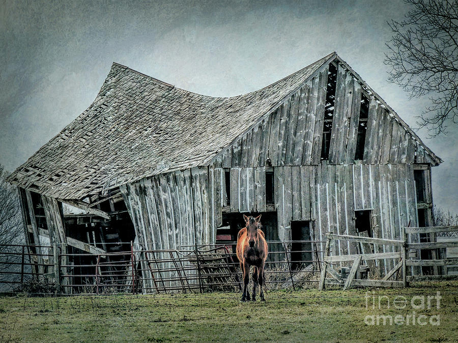 Horse and Barn Photograph by Lynn Sprowl